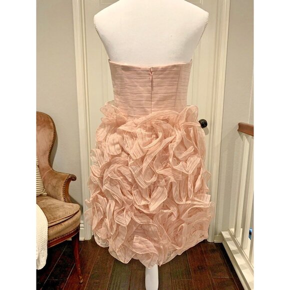 HALSTON HERITAGE Strapless Ruffle Dress Size 6 Pink NWT $595 - Picture 6 of 11